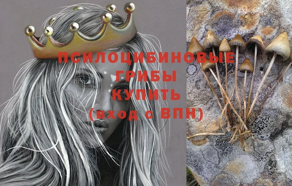 героин Покачи