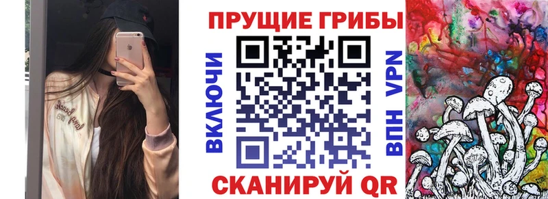 Псилоцибиновые грибы GOLDEN TEACHER  Купить где  Канаш 