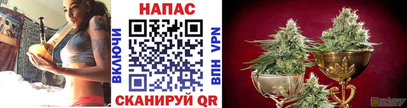 Марихуана SATIVA & INDICA  Купить  Канаш 